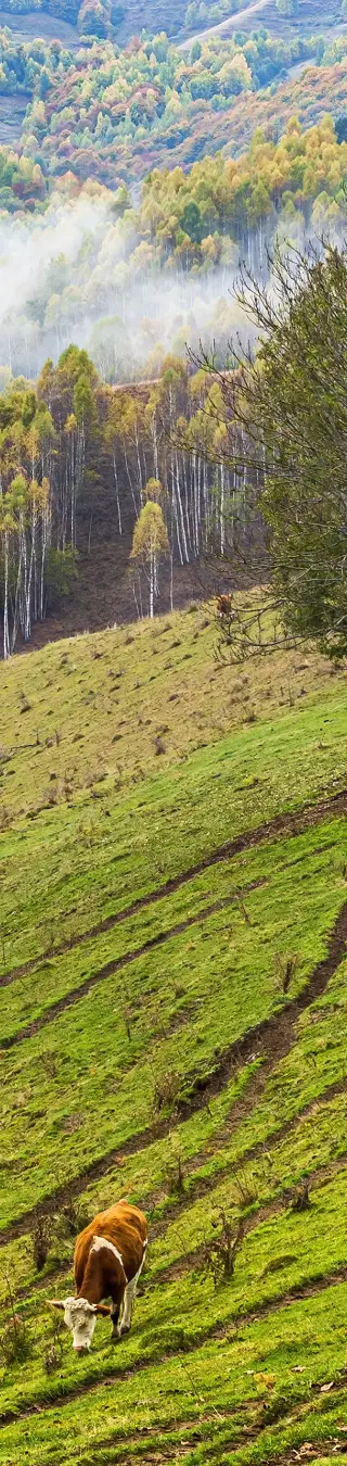 Reise ins rumänische Landleben